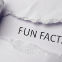 Torn paper with bold "FUN FACTS" text, illustrating plumbing tips from Bud's Plumbing & Repair Service.