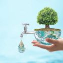 Hand pouring water from a tap into a bowl, illustrating plumbing maintenance and water conservation with a tree.