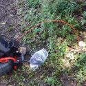 Electric trimmer with power cord near greenery for effective landscape maintenance by Bud's Plumbing & Repair Service.